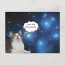 Recherche de funny cat cartes postales Humour