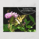 Recherche de naturalistes posters Fleurs