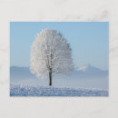 Suche nach winterbäume postkarten Schnee