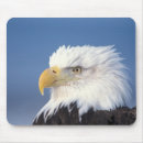 Suche nach weißkopfseeadler mousepads Porträt