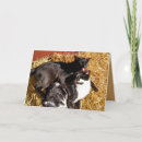 Suche nach katzen liebe karten Schwarze katze