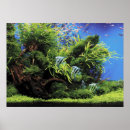 Suche nach fische im aquarium poster Für ihn