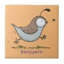 Recherche de cailles carreaux Californie