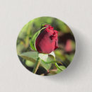 Suche nach knospen buttons Mit blumen