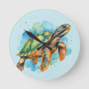 Recherche de tortues horloges Vie marine