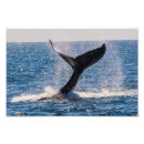 Suche nach migration poster Meer