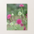 Recherche de anglais photographie Fleurs