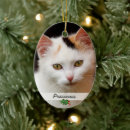 Recherche de animal ornements Pour animaux