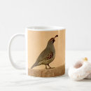 Recherche de cailles tasses Faune