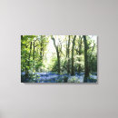 Recherche de sonnerie bleue art Nature