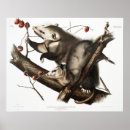Suche nach opossum poster Vintag