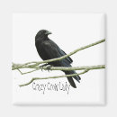 Suche nach die krähe magnete Schwarzes