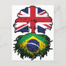 Suche nach flagge von brasilien postkarten Brasilianisch