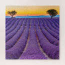 Suche nach valensole Herkunft