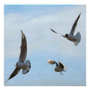 Suche nach seegras poster Tierwelt