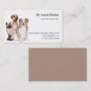 Recherche de chat coloré cartes visite Chien