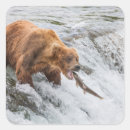 Suche nach braunbär aufkleber Alaska