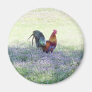 Suche nach federn magnete Vogel