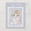 Recherche de chat orange cartes postales Tabby