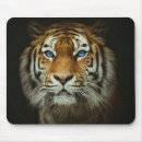 Recherche de tigre du bengale tapis souris Tigres