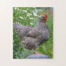 Suche nach huhn puzzle Bauernhof