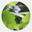 Suche nach sonnenbad aufkleber Blume