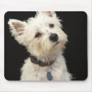 Suche nach new york mousepads Tiere