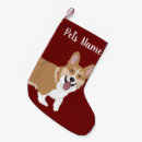 Recherche de corgi chaussette de noël Chiot