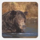 Suche nach ursus aufkleber Alaska