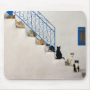 Suche nach treppen mousepads Katze
