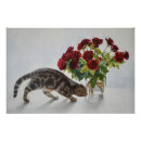 Suche nach realistische poster Katze
