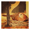 Suche nach geduld poster Natur