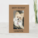 Recherche de photo drôle de chien vœux cartes Pour lui