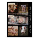 Suche nach wildschwein karten Niedlich