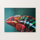 Suche nach reptilen puzzle Chameleon