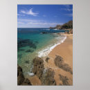 Suche nach baja california poster Ozean