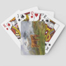 Recherche de bovin jeux de cartes Vache