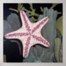 Recherche de eau de mer posters Rose