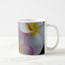 Suche nach plumeria blumen tassen Flora