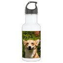 Suche nach corgi trinkflaschen Korgis