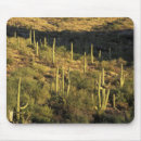 Suche nach wüsten mousepads Landschaft