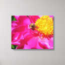 Suche nach hummel poster leinwandbilder Blume