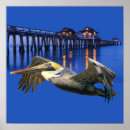 Suche nach pelican poster Tropisch