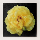 Suche nach gelbe rose puzzle Blumig