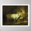 Recherche de taureau taureau posters Blanc
