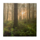 Recherche de pacifique carreaux Paysage