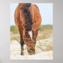 Suche nach outer banks poster Superstock