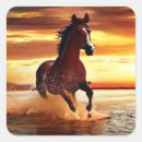 Suche nach wildes pferd aufkleber Sonnenuntergang