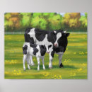 Suche nach niedliches kalb poster Rinder