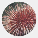 Recherche de colombie britannique autocollants Mer